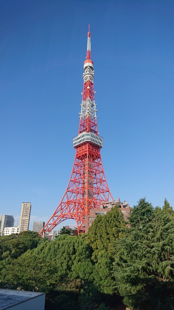 今朝の東京タワー