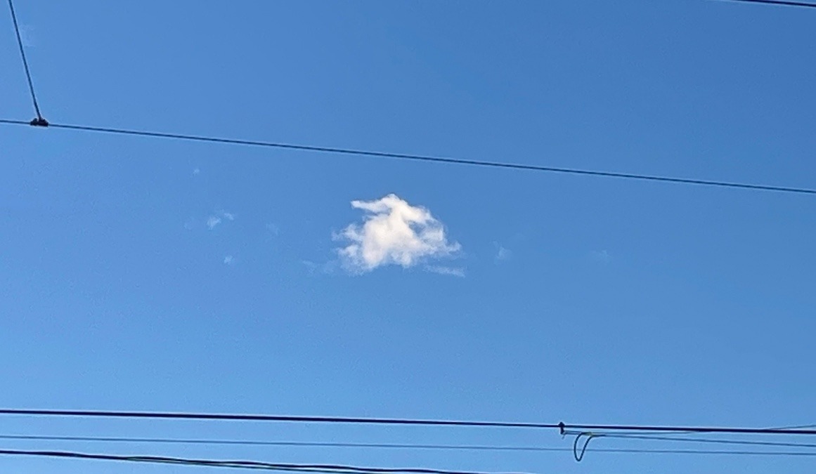 かわいい☁️