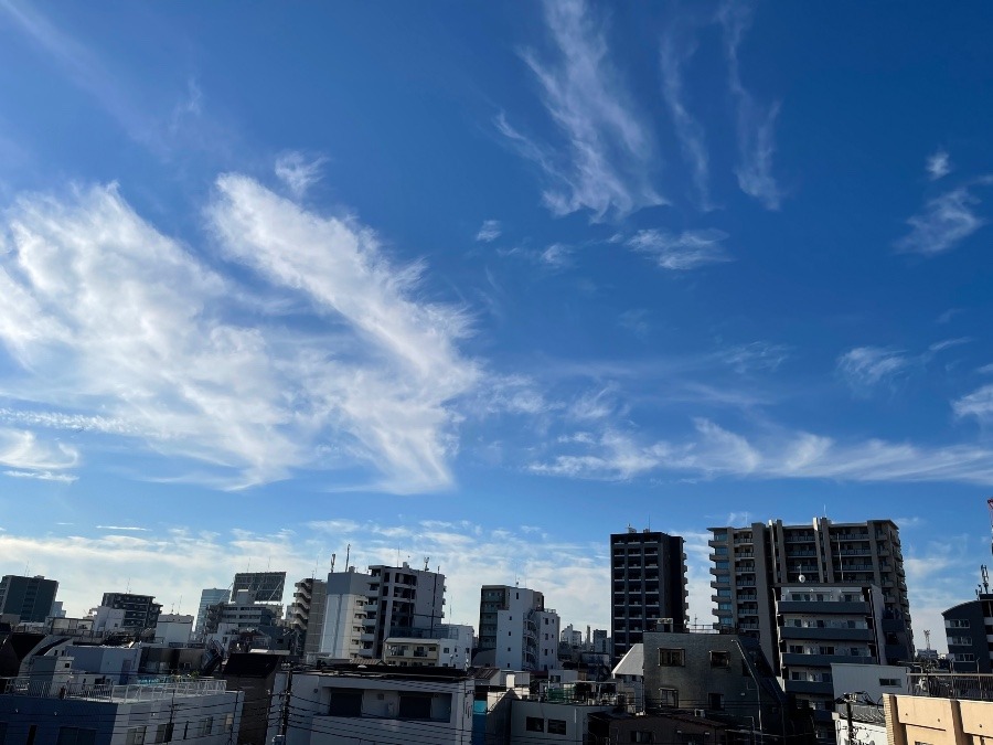 10月30日　日曜日今空☀️