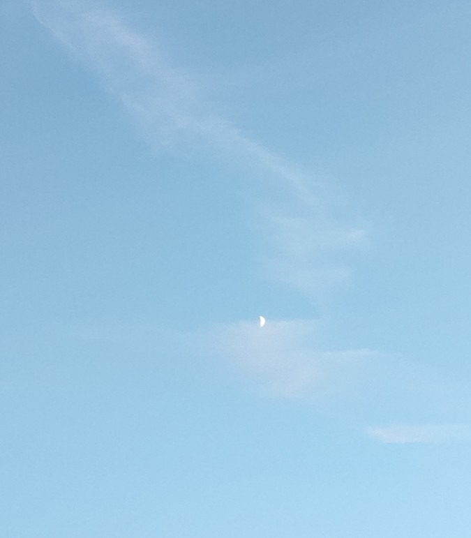 東の空の月🌓