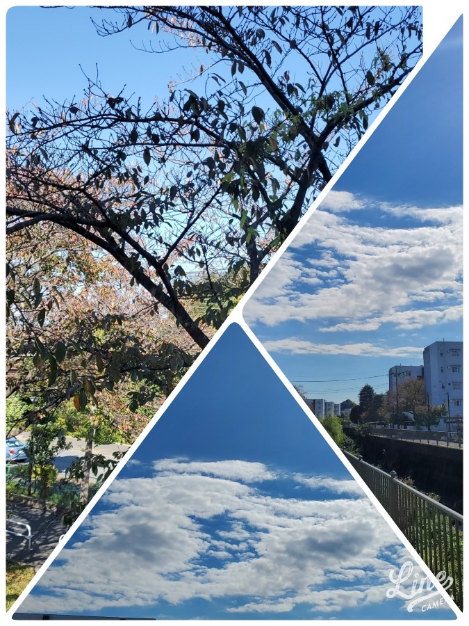 今空