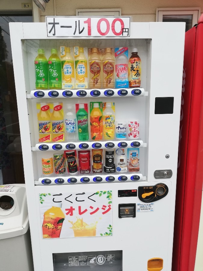 すべて100円!!