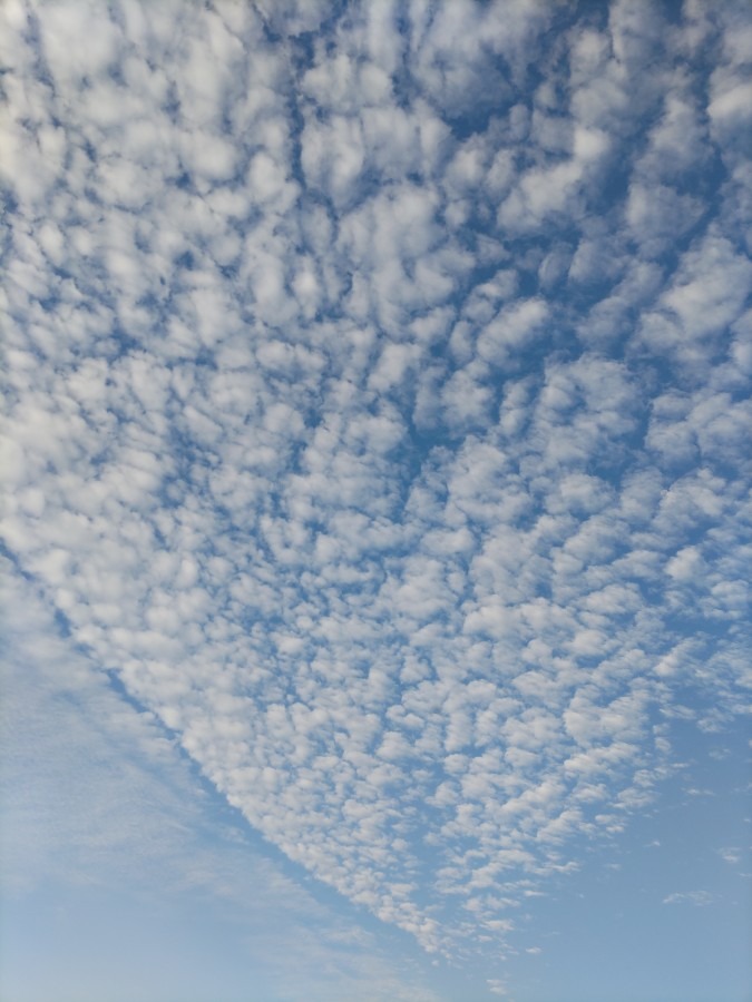 今空　出雲　’22.10.15  8時前