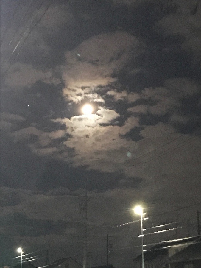 今日のお月さま〜🌔