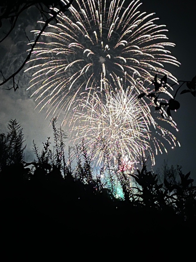 花火大会♪