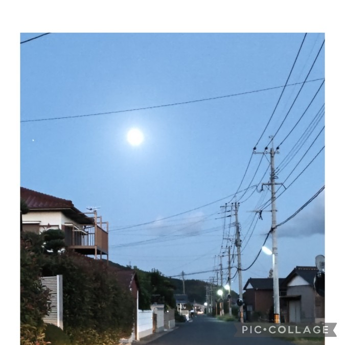 十三夜🌛