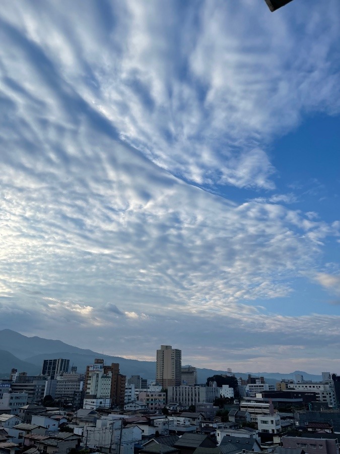 今朝の空