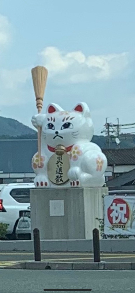 ⓵ これなんだ❗️🐈　