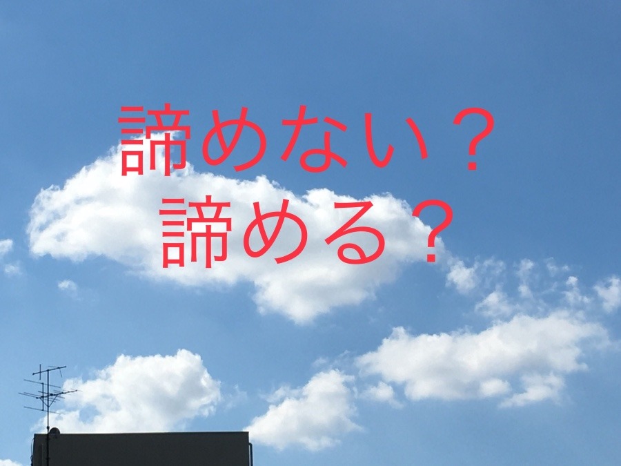 諦める、ない？