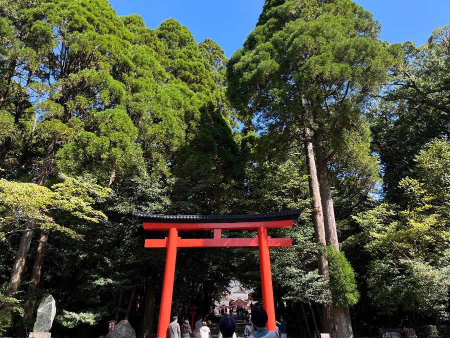 鹿児島ツアー①