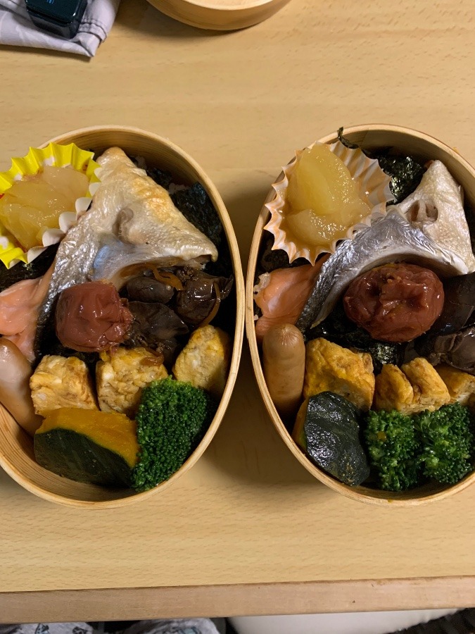 今日のお弁当