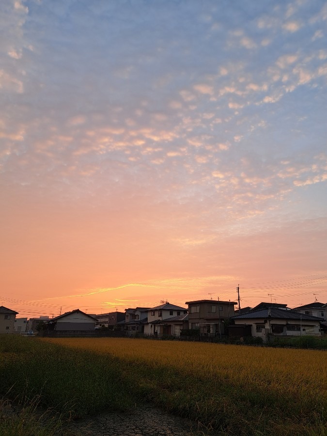 散歩中　　おはよう!!