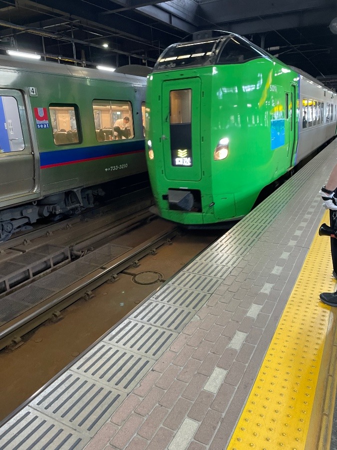 北海道の電車カラフル‼️