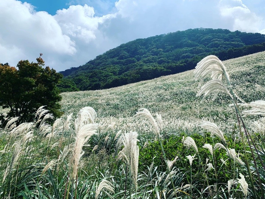 英彦山スキー場跡地