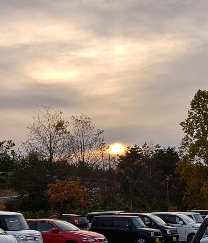 帰り道の夕陽🌇