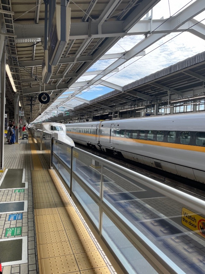来た〜‼️