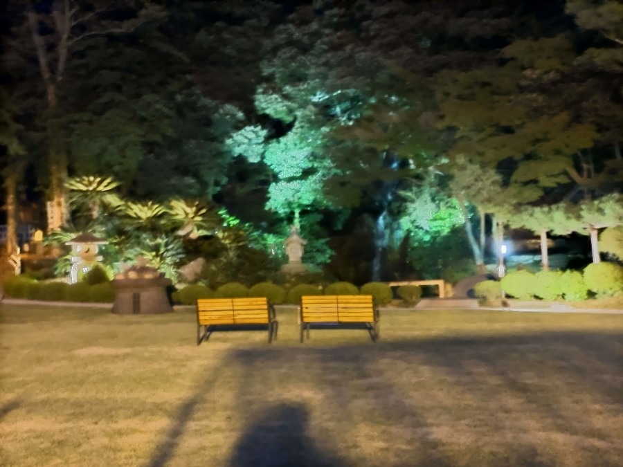 夜の北島国造館庭園