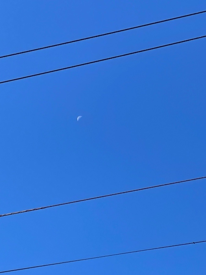 今日の岡崎