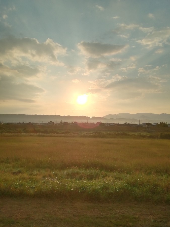 今朝の空②