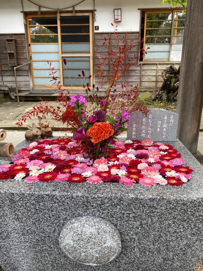 荘内神社　花手水⛩⛩⛩