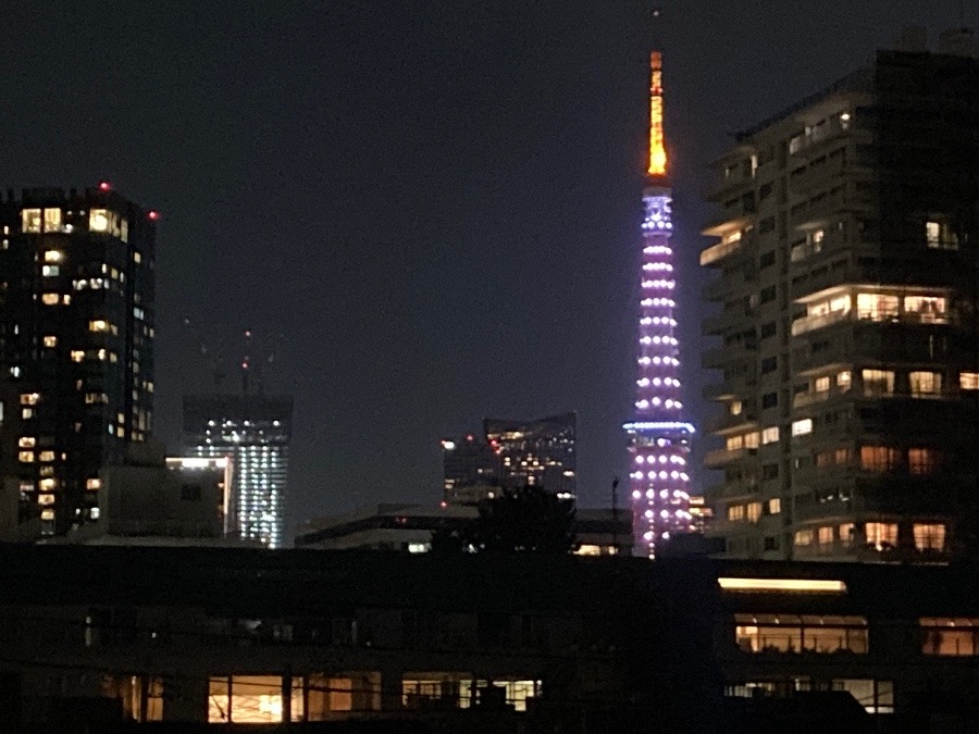 今日の東京タワー🗼
