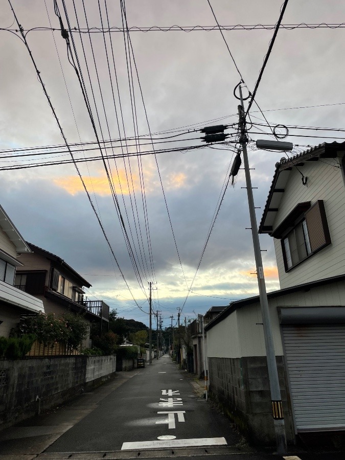 今日も走った💦