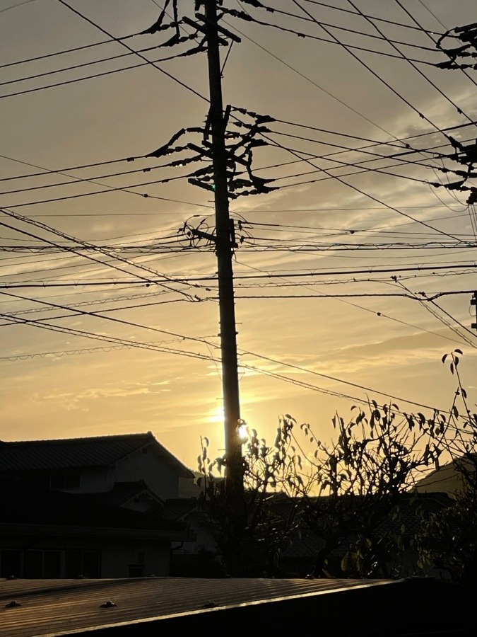 夕陽