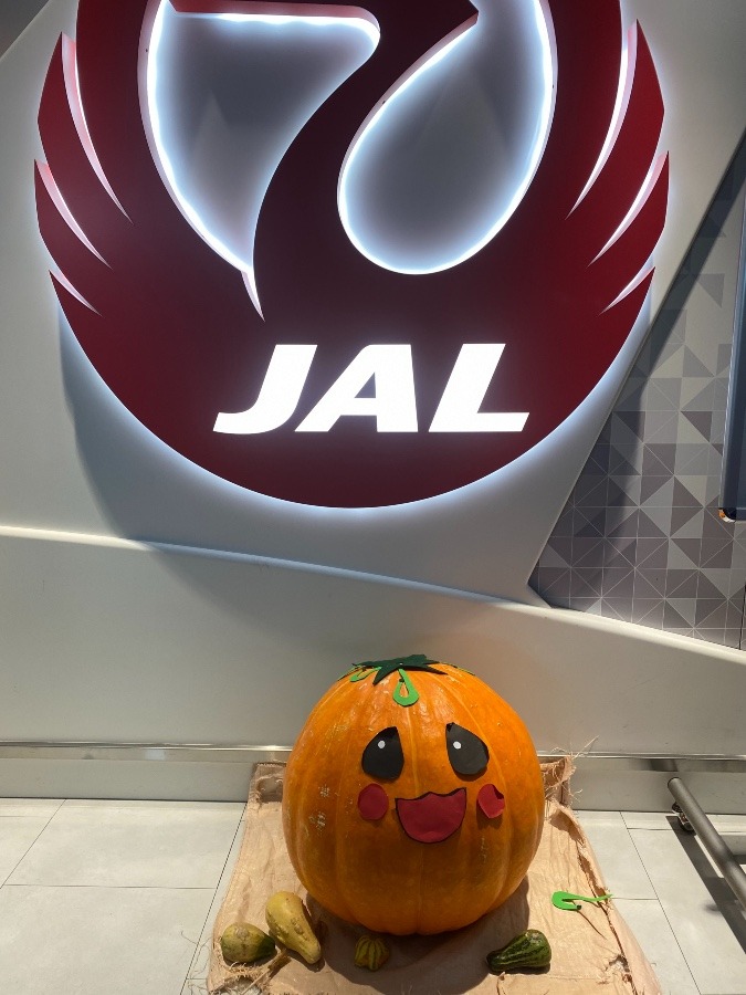 ハロウィンJAL