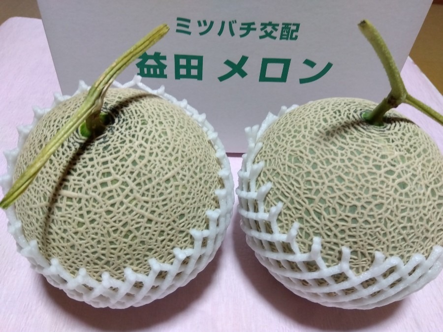 いただきもの🍈