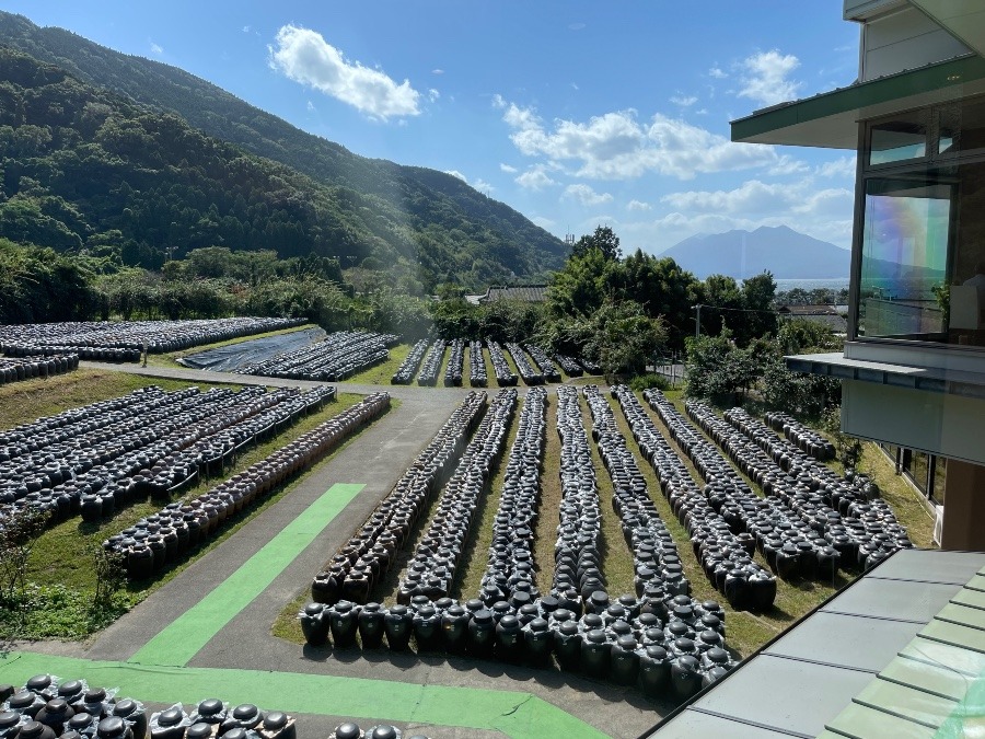 鹿児島　黒酢の瓶と桜島