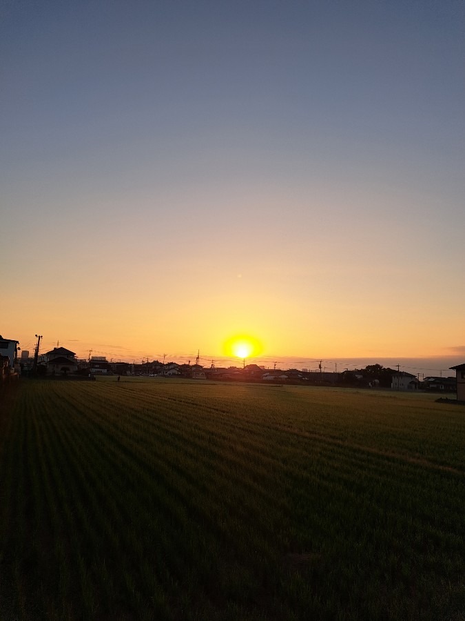 10/14　今朝の空