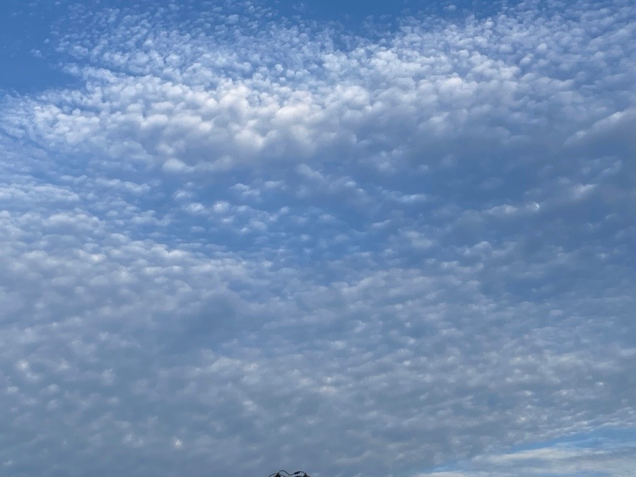 今日の空