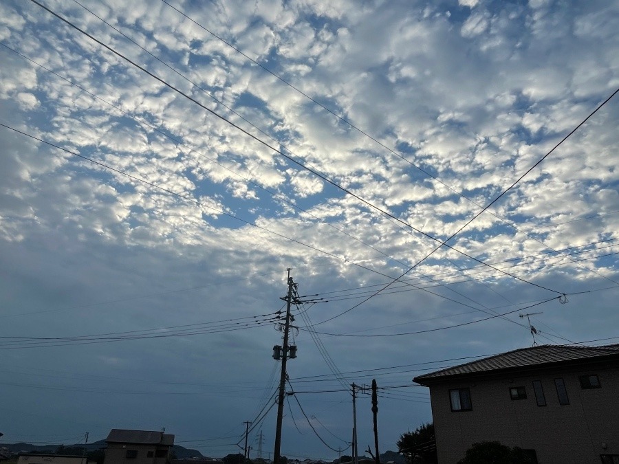 今朝の空