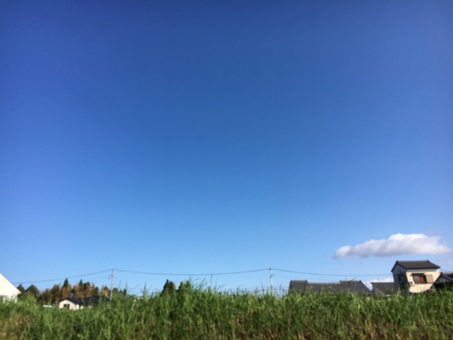 ⭕️空部→   いま空（≧∇≦）‼️166.