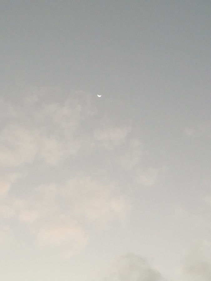 朝の三日月