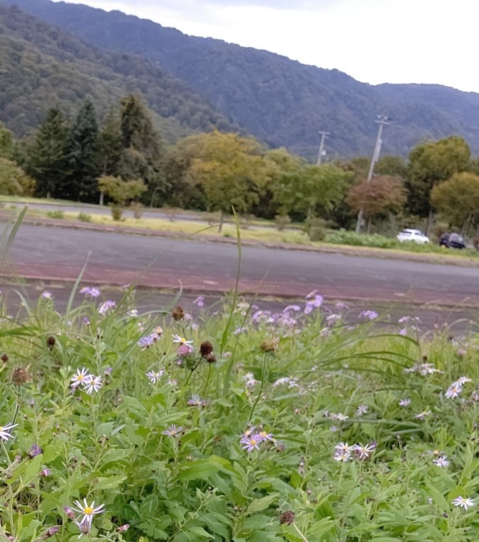 紅葉狩りに🍁