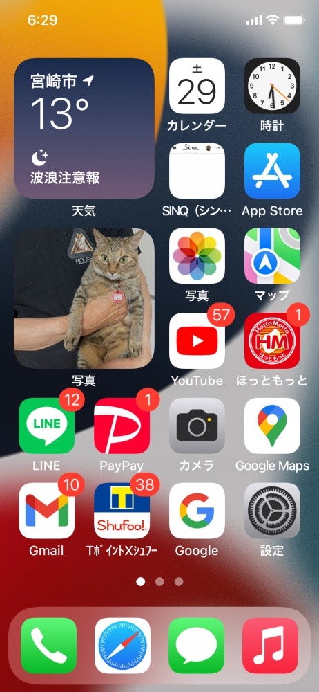 お気に入りの待受🐱