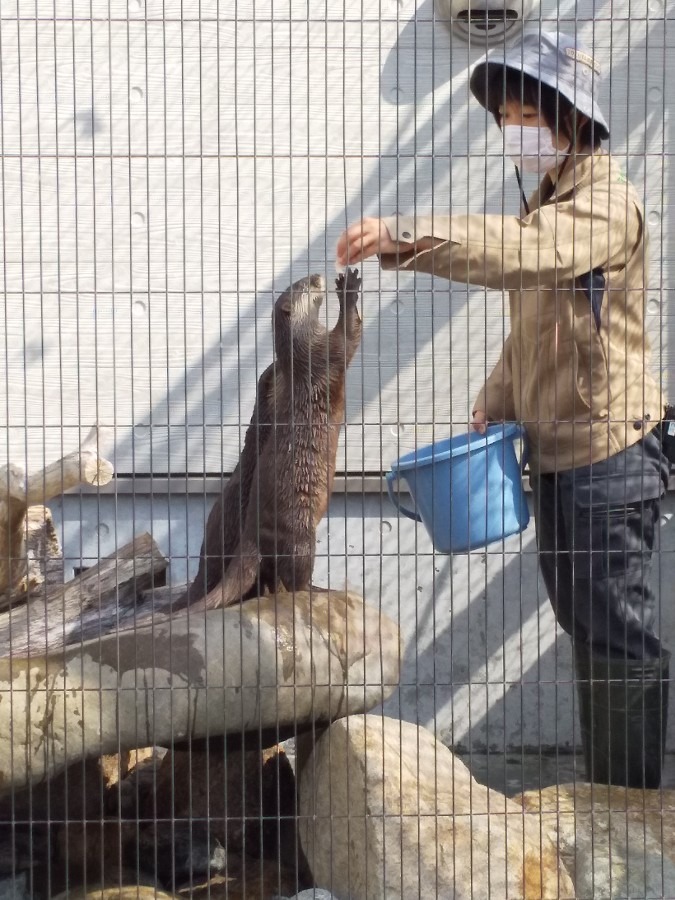 動物園行きました☆