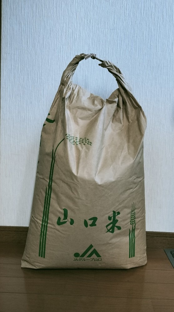 今日から山口米