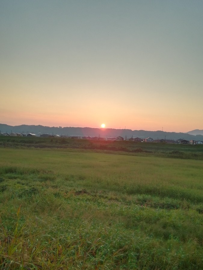 今朝の空