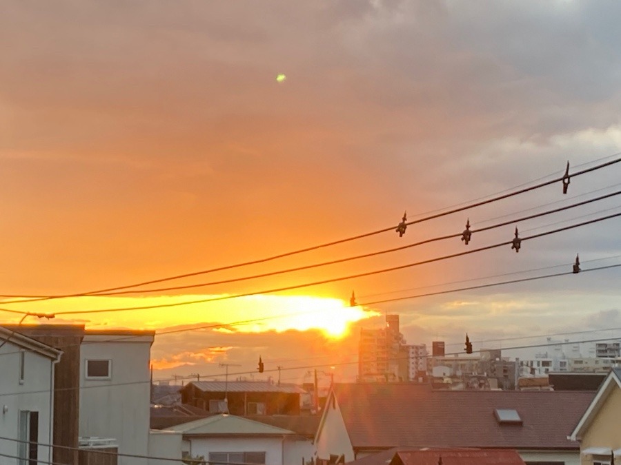 今日も綺麗な夕焼け✨