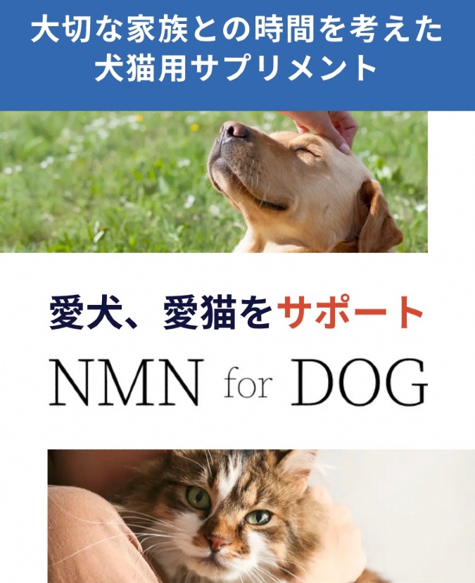NMN.for DOG❣️