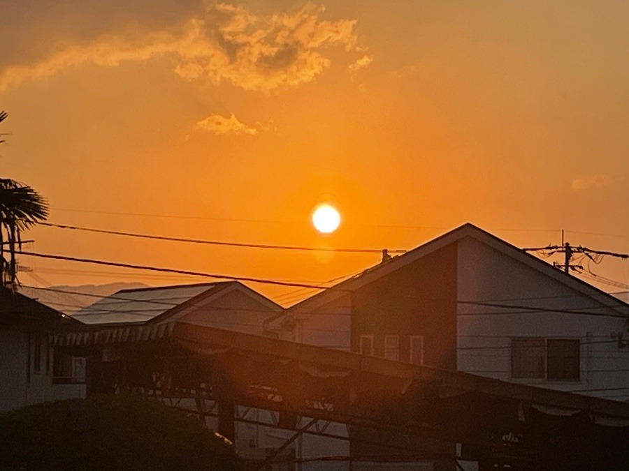 今日もありがとうございます🌅