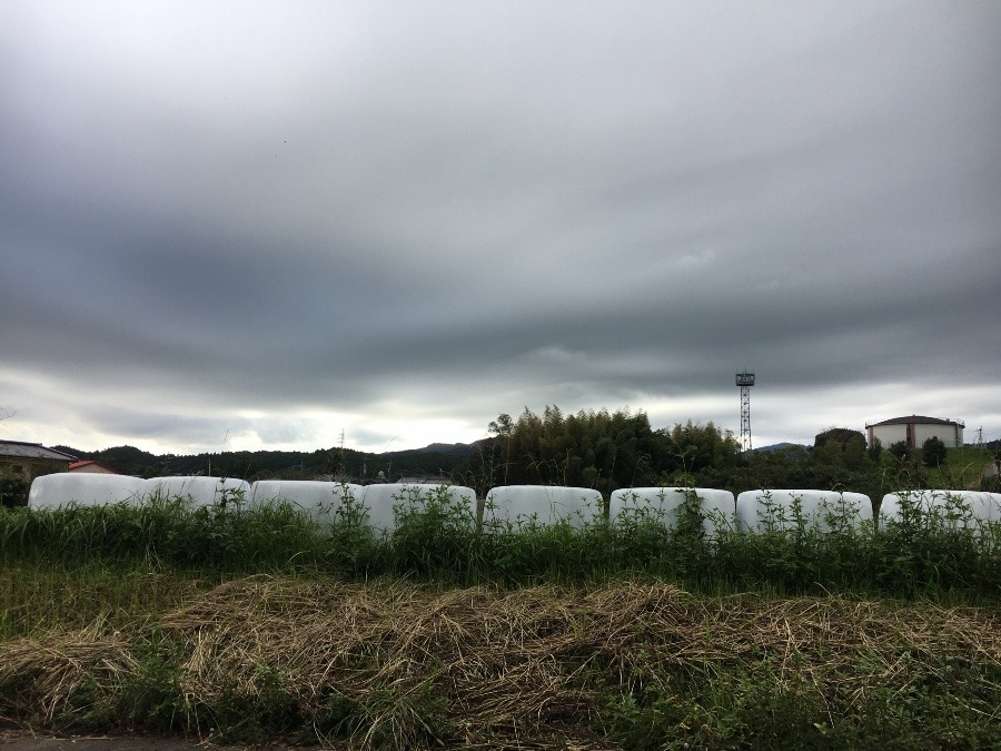 ⭕️空部→   午前の空（≧∇≦）‼️202.