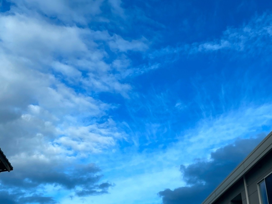 朝の空 8時