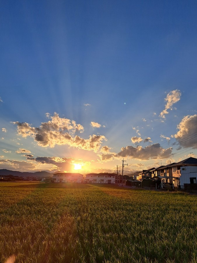 10/24　夕空