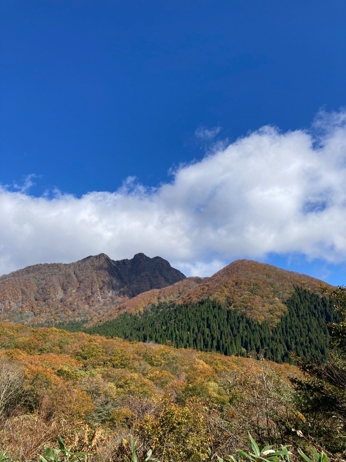 紅葉