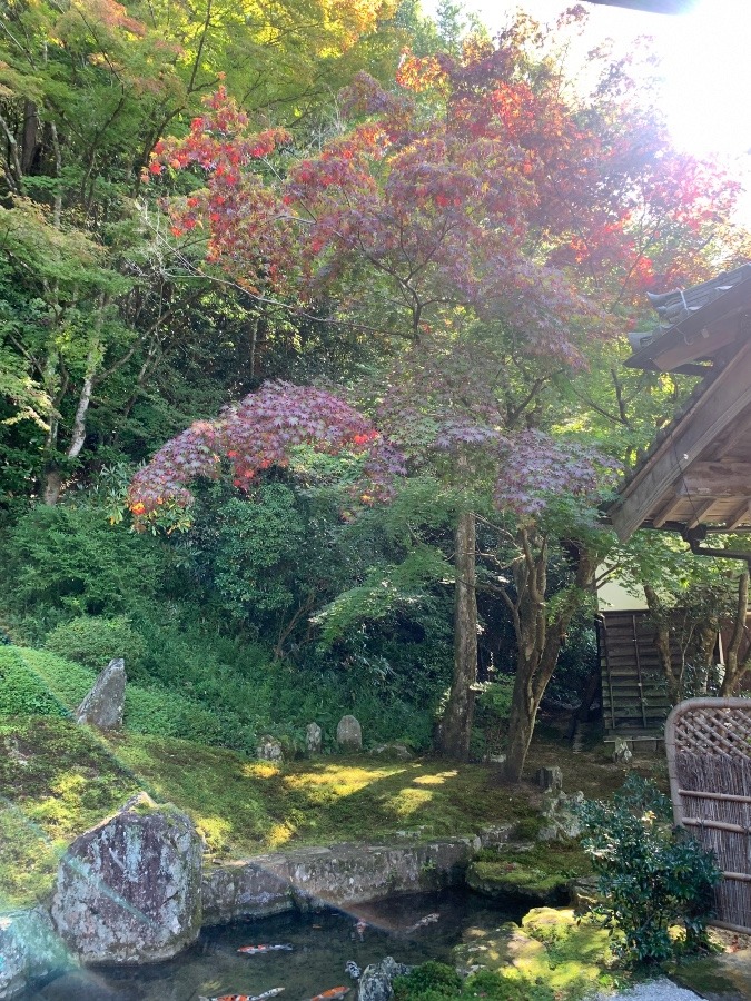 漢陽寺の紅葉