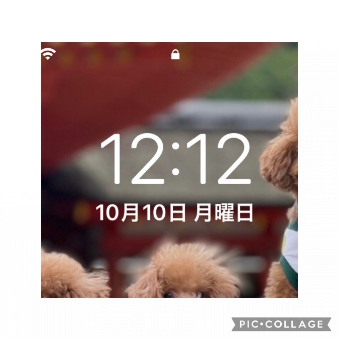 🧚🏻‍♀️1212🧚🏻‍♀️