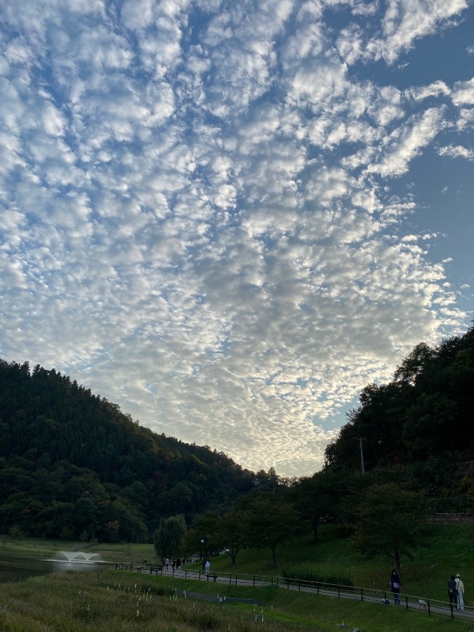 ウロコ雲☁️🎶❗️